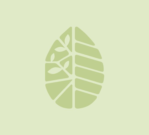 UN Climate Change Conference Baku – November 2024